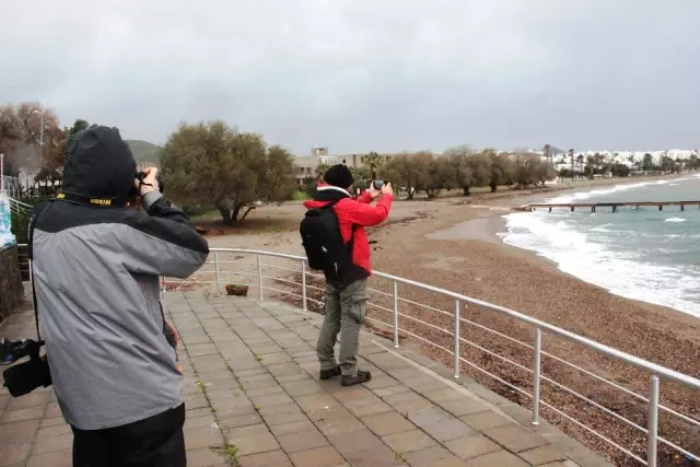 Bodrum'da Tekneler Battı, Araziler Sular Altında Kaldı