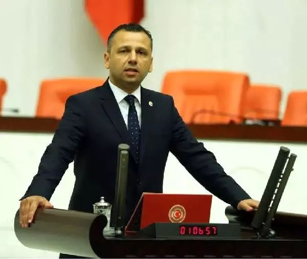 CHP'li Erbay: Doğaya Bırakılan Kurt ve Çakallar Hayvanları Telef Ediyor