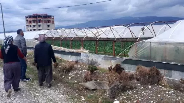 Anapanın panoraması birçok kişiye tanıdık bir görüştür 66
