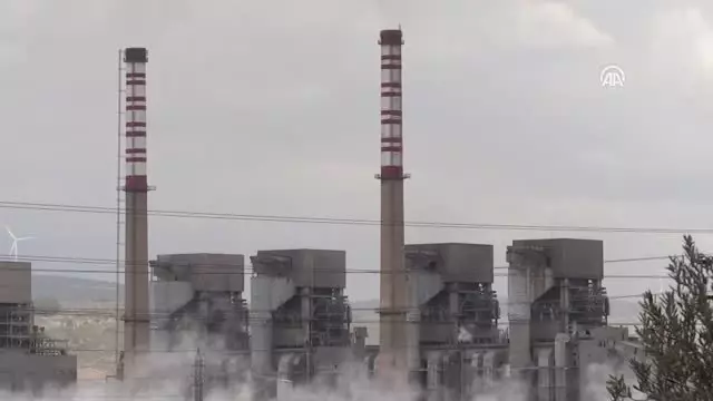 Somalı Madencinin Kadro Sevinci