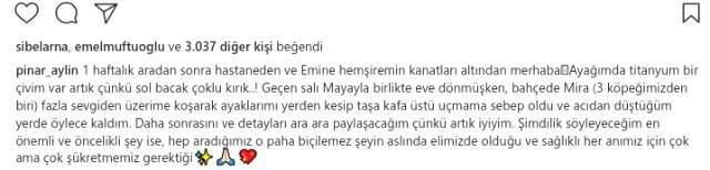 Ünlü Şarkıcı Pınar Aylin, Bacağını Kırdı