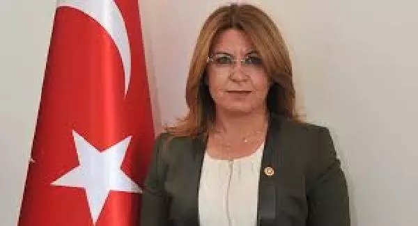 CHP'li Karaca'dan Zehirlenen Köpekler İçin Suç Duyurusu