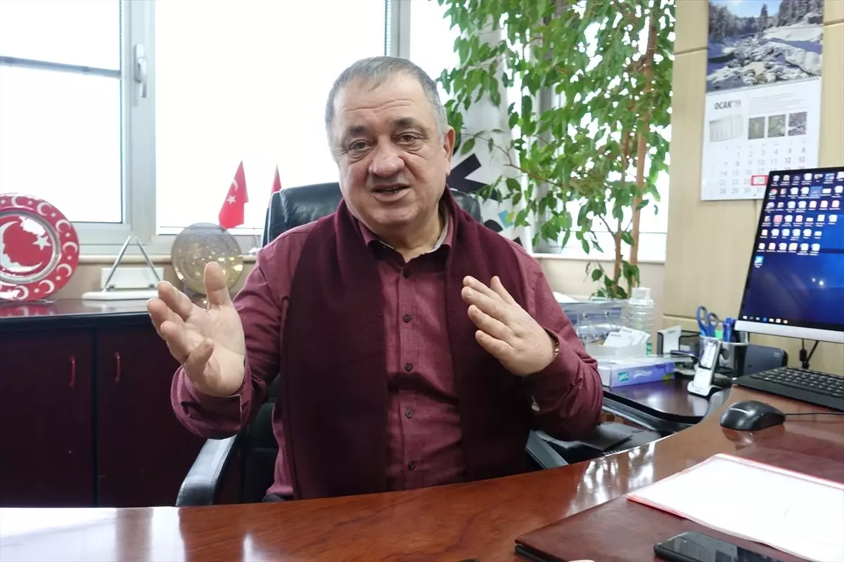 Rusya'ya Domates İhracatı Arttı