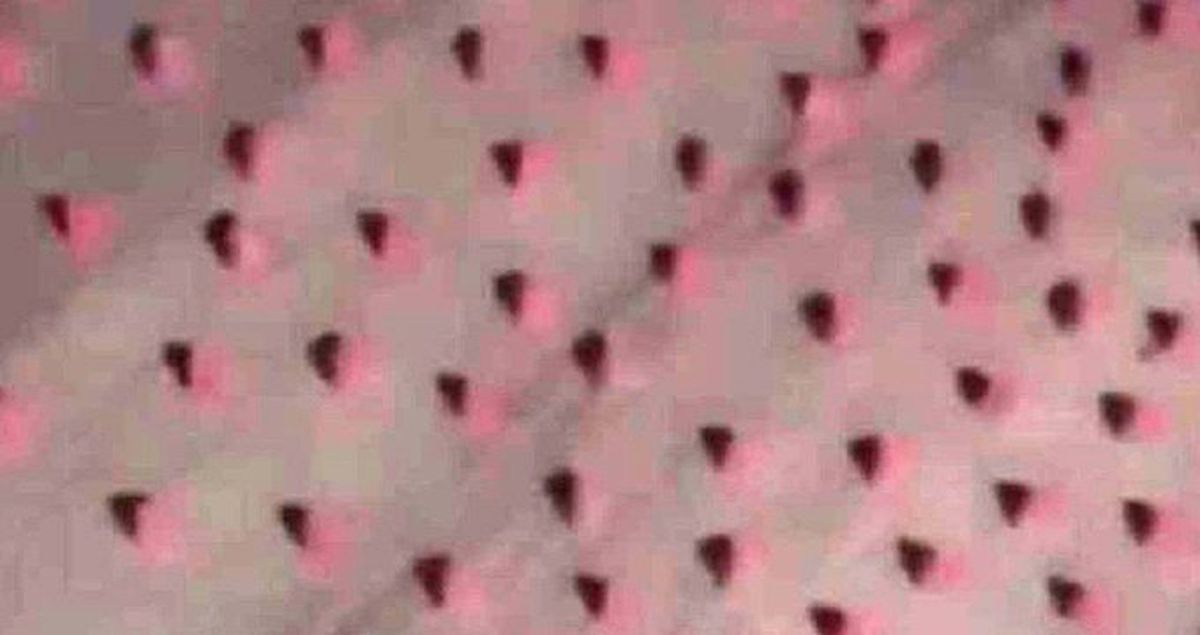 Uyuşturucu Hapların Fotoğrafını Paylaşınca Yakalandı