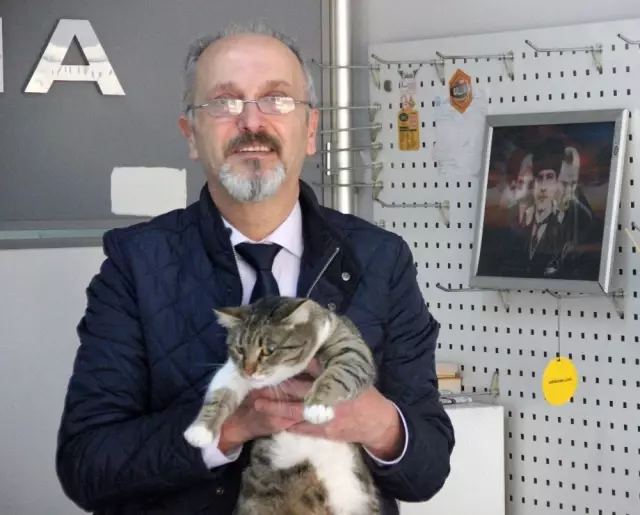 Kedi Tırmığı �Taksirle Adam Yaralamak� Suçu Sayıldı Haberler