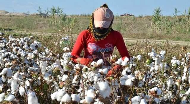 GAP Yatırımları İstihdamı Artırdı, Göçü Azalttı