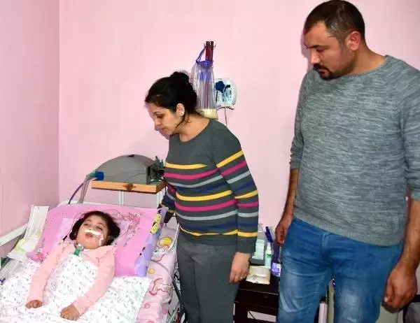 Minik Doğa'nın Sokağa Çıkabilmesi İçin Yardım Kampanyası