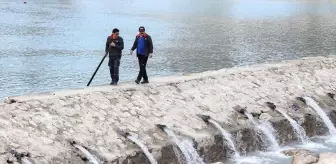 Diş sağlığı için göze çarpan bir tehdit - servikal çürük 50