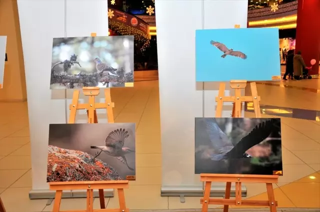 Kutahya Daki Kus Turleri Fotograflarla Tanitildi