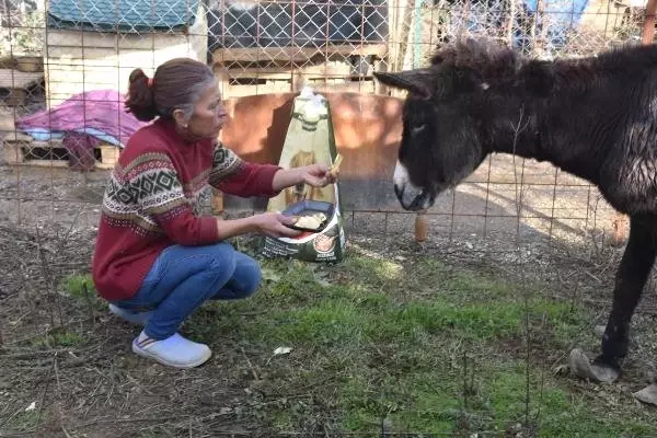 Kadına Tecavüz Eşek Kadına Tecavüz Eşek
