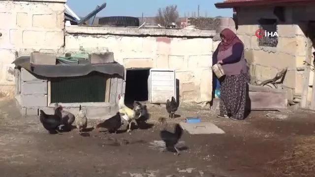 Muhtar Adayı Mavuş Teyze, Köyün Problemlerini Çözecek