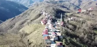 İkizce: 5 Adımda İl Değişiyorlar... Samsun'la Ordu'yu Ayıran Mahalle Havadan Görüntülendi İkizce: 5 Adımda İl Değişiyorlar... Samsun'la Ordu'yu Ayıran Mahalle Havadan Görüntülendi