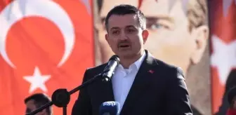 Münir Bezmez: Bakan Pakdemirli: Orman Alanlarında Süs Bitkileri de Yetiştirilebilecek (3) Münir Bezmez: Bakan Pakdemirli: Orman Alanlarında Süs Bitkileri de Yetiştirilebilecek (3)
