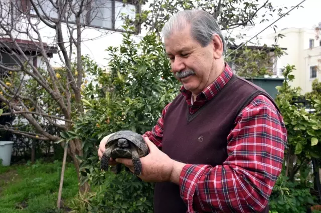Çöpte Buldukları Kaplumbağa Ailenin Parçası Oldu Çöpte Buldukları Kaplumbağa Ailenin Parçası Oldu