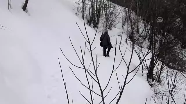 Hizan'da Kış Güzelliği Hizan'da Kış Güzelliği