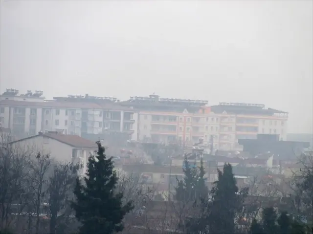 Araban'da Sis Etkili Oldu