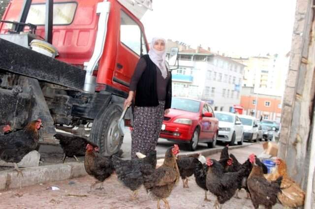 Kim Milyoner Olmak İster Yarışmasına Damga Vuran Emsal Tekir, Muhtar Adayı Oldu