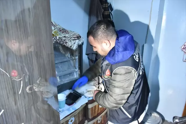 Güncelleme - Gaziantep'te 'Torbacı' Operasyonu Güncelleme - Gaziantep'te 'Torbacı' Operasyonu
