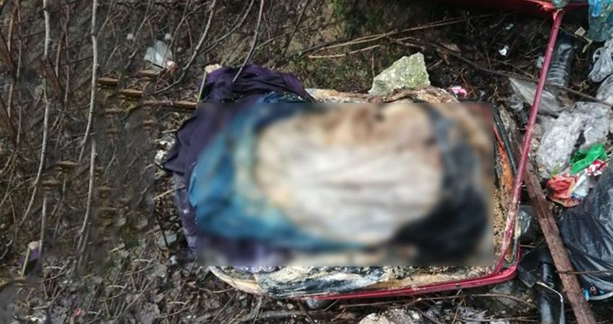 Hurdacının Bolu Dağı'nda Bulduğu Bavuldan Ceset Çıktı!