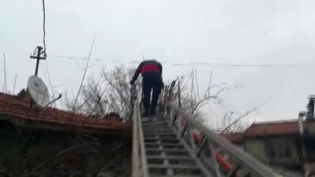 Ağaçta Mahsur Kalan Kediyi İtfaiye Kurtardı