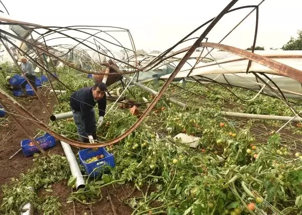 Antalya'daki Hortum Felaketinde Zarar 100 Milyon Lirayı Aşkın