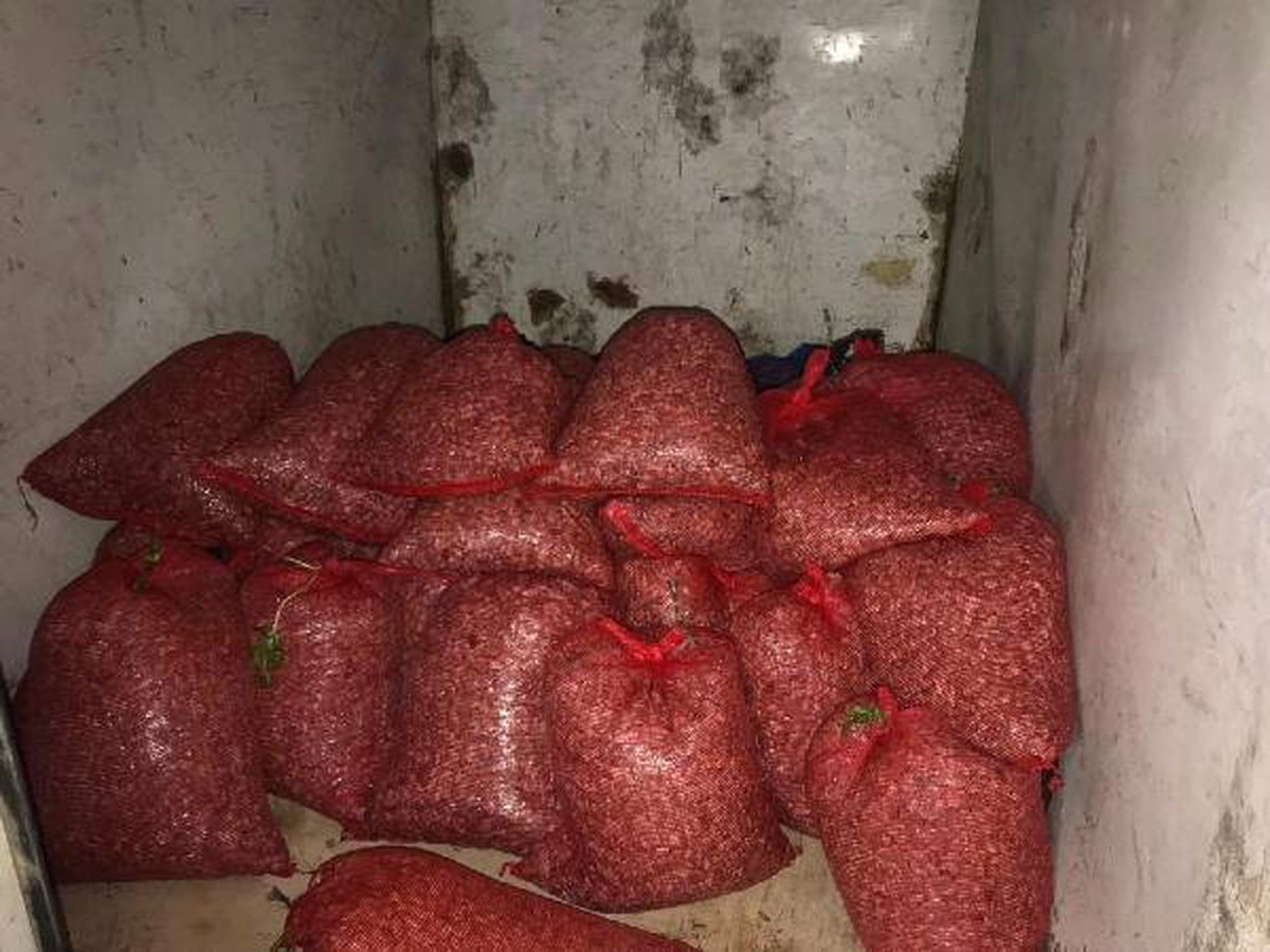 Bursa'da Kaçak Avlanan 1 Ton 300 Kilogram Midye Ele Geçirildi