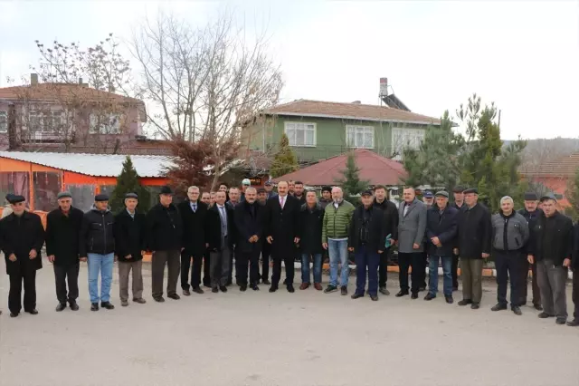Ceviz Ormanları Köylüye Gelir Getirmeye Devam Ediyor