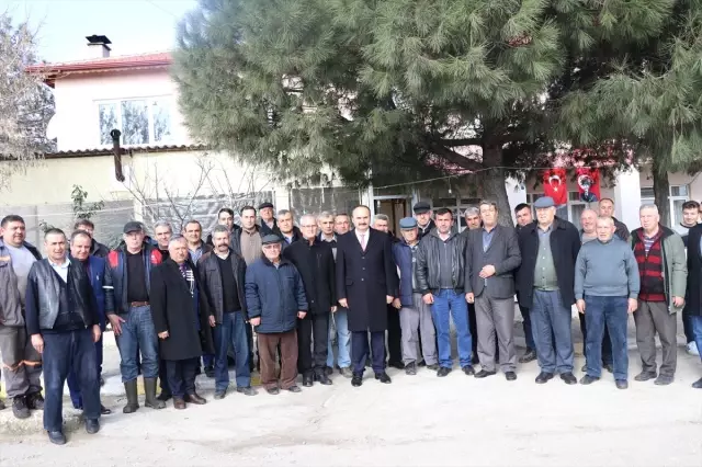 Ceviz Ormanları Köylüye Gelir Getirmeye Devam Ediyor