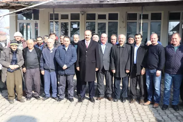 Ceviz Ormanları Köylüye Gelir Getirmeye Devam Ediyor