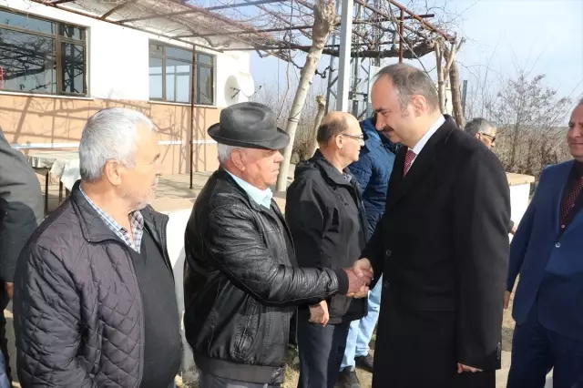 Ceviz Ormanları Köylüye Gelir Getirmeye Devam Ediyor