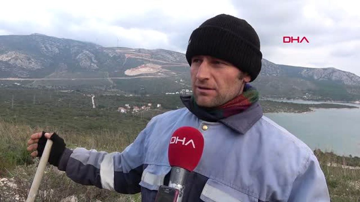 İzmir Karaburun'da Kurulan Res'ler, Kıl Keçilerinin Otlak Alanlarını Bitirdi