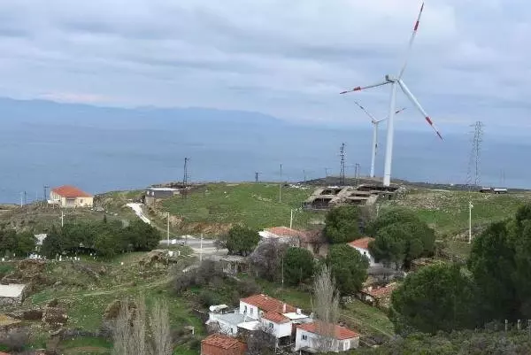 Karaburun'da Kurulan Res'ler, Kıl Keçilerinin Otlak Alanlarını Bitirdi
