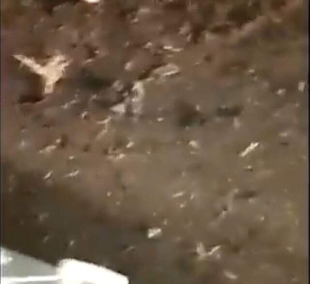 Son Dakika! İran Askerlerine İntihar Saldırısı! 20 Ölü, 20 Yaralı