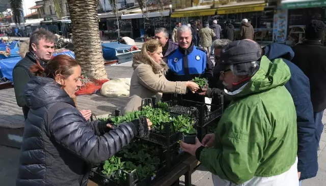 Foça'da Sevgi Çiçekleri