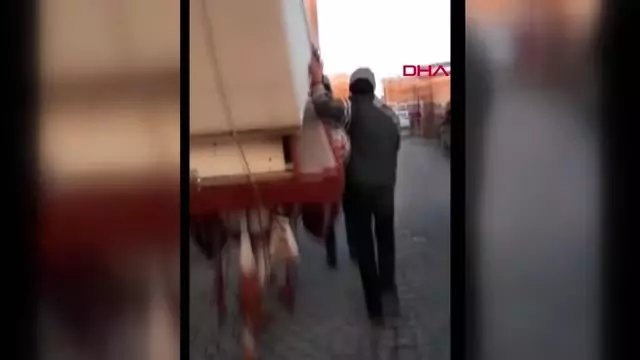 Mardinli Marilyn'den Eşekle Kanepe Taşınmasına Tepki Mardinli Marilyn'den Eşekle Kanepe Taşınmasına Tepki