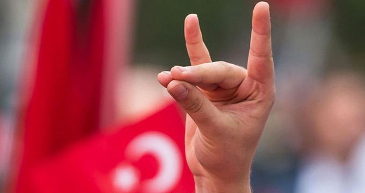Türkiye'den Avusturya'ya Bozkurt Tepkisi: İlişkilerimize Etkileri Olur