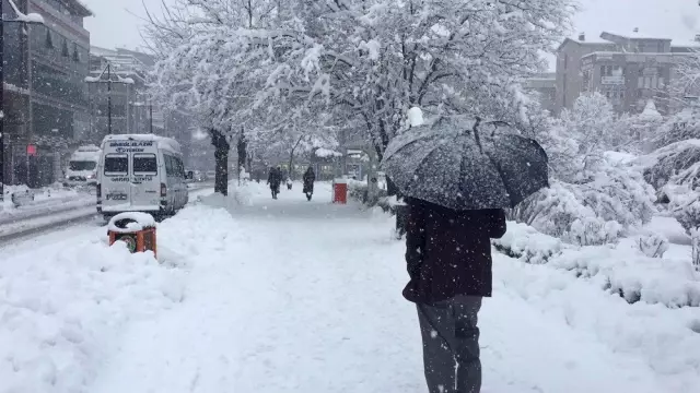 Bingöl'de 281 Köy Yolu Kapandı, Okullar Tatil Edildi