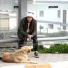 Sahibinin Terk Ettiği Köpek Dolmuş Durağından Ayrılmıyor