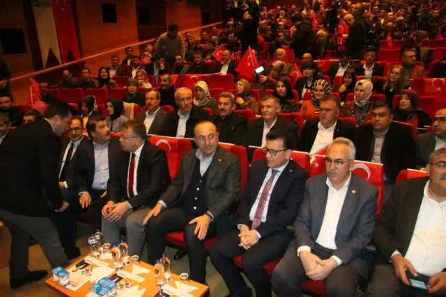 Bakan Çavuşoğlu Dış Politikayı Özetledi: