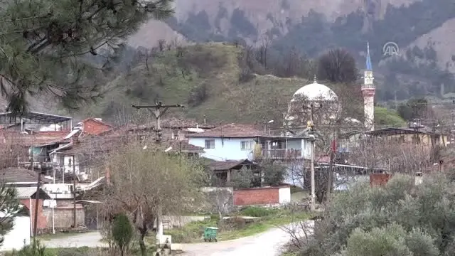 Gelin Geldiği Köyün Muhtarı Olmak İstiyor Gelin Geldiği Köyün Muhtarı Olmak İstiyor