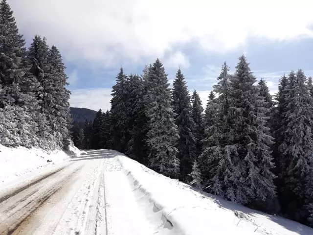 Giresun'un Yaylaları 4 Mevsim Yöre İnsanını Kendisine Çekiyor Giresun'un Yaylaları 4 Mevsim Yöre İnsanını Kendisine Çekiyor