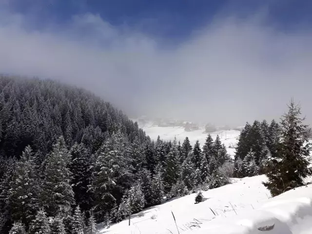 Giresun'un Yaylaları 4 Mevsim Yöre İnsanını Kendisine Çekiyor Giresun'un Yaylaları 4 Mevsim Yöre İnsanını Kendisine Çekiyor