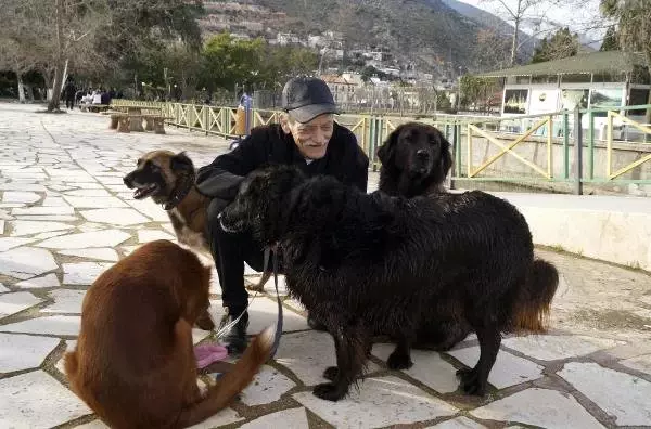 Kanser Hastası Oldu, Köpeklerinden Vazgeçmedi