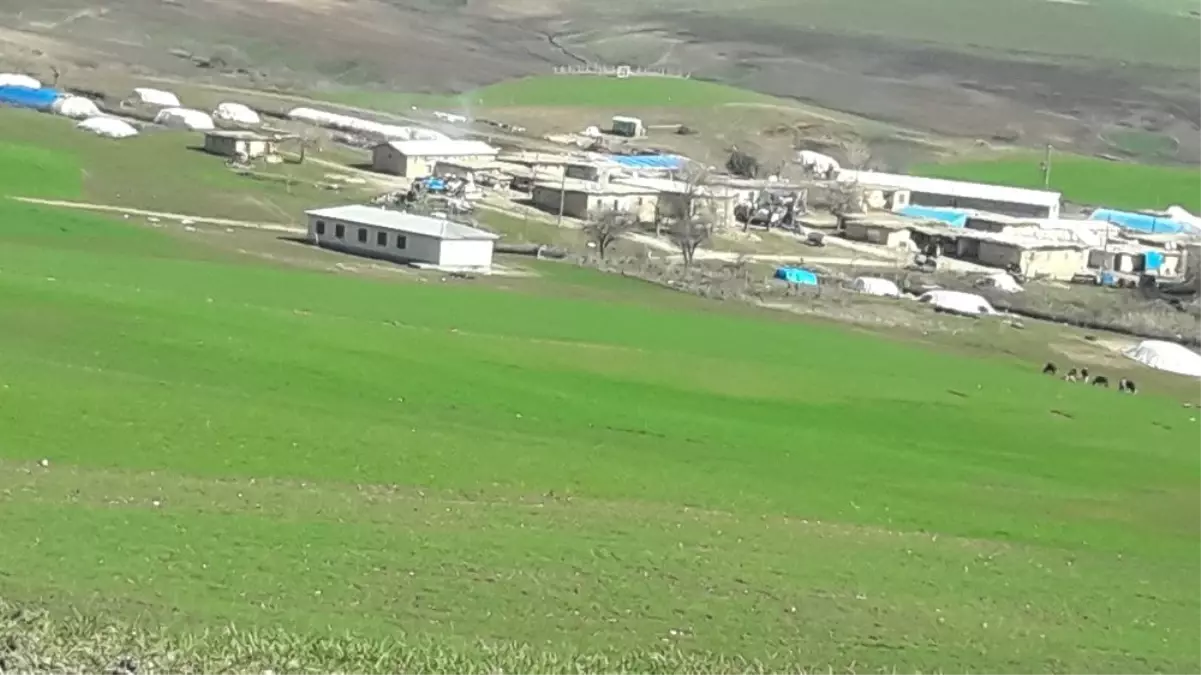 43 Yıllık Mahalle Yola Kavuştu