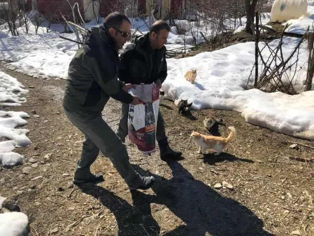 Hakkari'de Doğaya Yem Bırakıldı