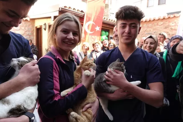 Kedili Tekke