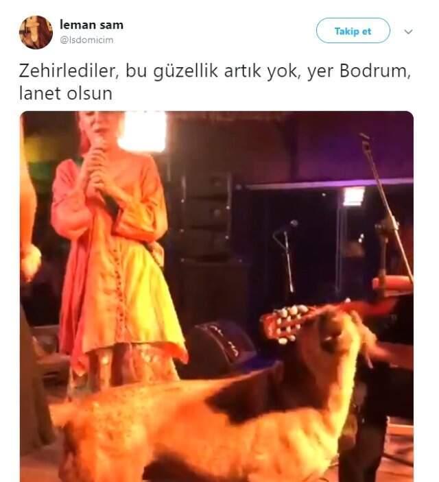 Şarkıcı Leman Sam, Sahnesinde Kendisine Eşlik Eden Köpeğin Zehirlendiğini Öğrenince Sitem Etti