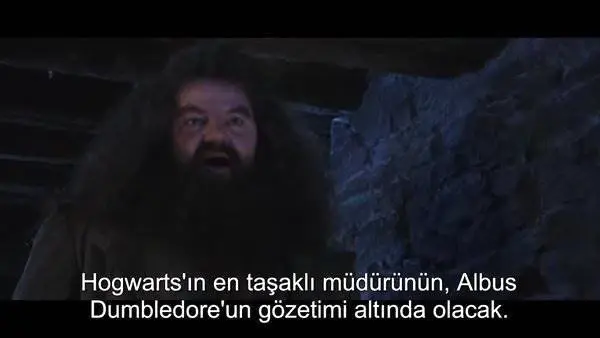 Altyazı Çevirisinde Bir Dünya Markası Olduğumuzun 25 Komik Kanıtı Altyazı Çevirisinde Bir Dünya Markası Olduğumuzun 25 Komik Kanıtı