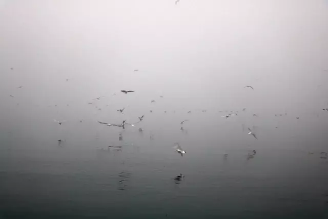 İstanbullular Güne Sisle Uyandı