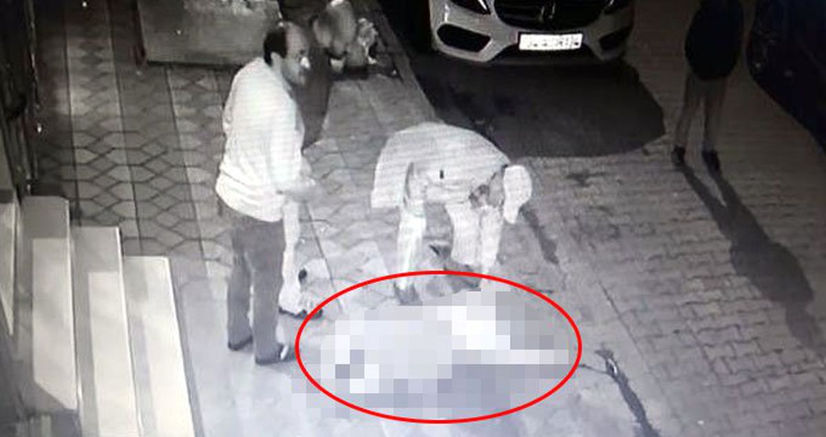 6. Kattan Düşen Talihsiz Kadın, Korkunç Şekilde Can Verdi